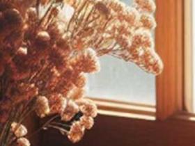 心理咨询价格为啥那么贵,有免费的吗?