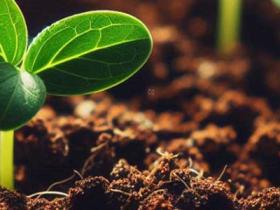 心理咨询可以上门服务吗?