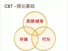 行为认知疗法