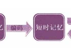 记忆的三个系统