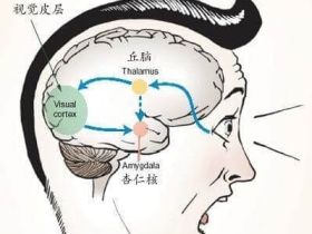 恐慌和恐惧的感觉是如何形成的