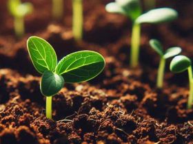 如何做自己情绪的主人