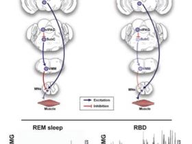近代著名心理学专家如何对待外界及自我人生的