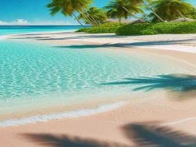 学习能力提升、考前减压、状态提升