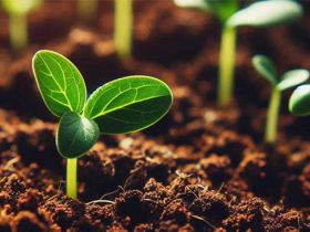 远离控制欲望强，不会尊重你的人