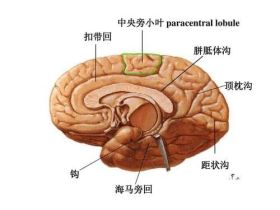 学习动力差，身体常不适