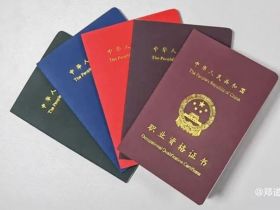 国家二级心理咨询师