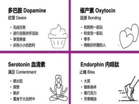 人体的快乐源泉