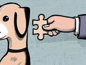 为什么愚昧无知的人大多都偏执？