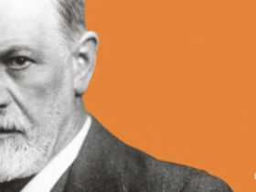 到底佛洛伊德的理论都说了些什么？