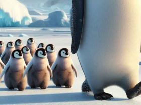 相亲，第一印象至关重要