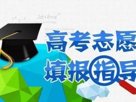 高考如何报自愿？如何查分？