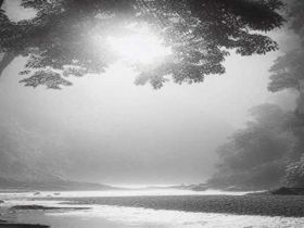 你梦有色彩吗？