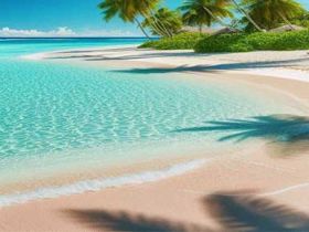 情到浓时情转薄