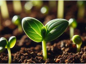 为什么不自信？如何改变？