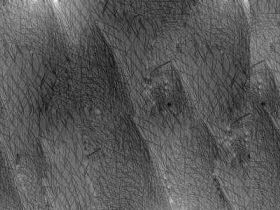 DSM5双相及其相关的障碍的标明