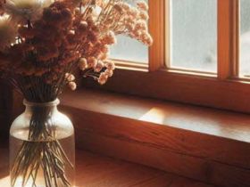 心理动力学理论