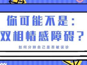 分裂情感性精神障碍